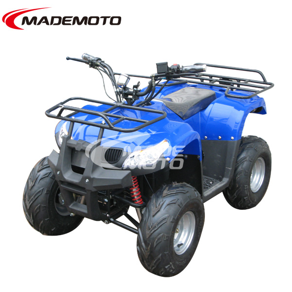 Best Christmas Gift for Kids, CE Approved 500W Electric Quads Bike ATV